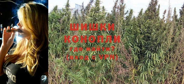 дурь Белокуриха