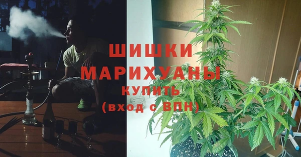 дурь Белокуриха